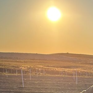 Meet your Posher, Sunshine